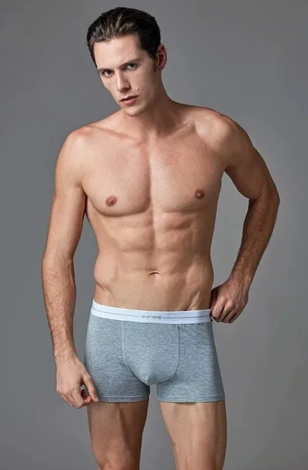Eros Pamuklu Esnek Bel Boxer 3'lü Paket Eros 015 - Görsel 5