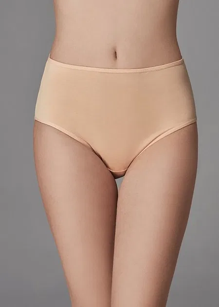 Dagi Yüksek Bel Pamuklu Bato Slip Külot Dagi 5106