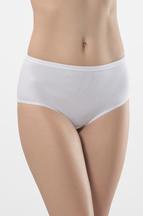 Yüksek Bel Pamuklu Bikini Külot  Türen 240