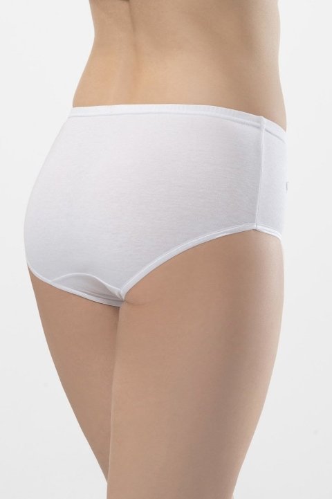 Yüksek Bel Pamuklu Bikini Külot  Türen 240 - 2