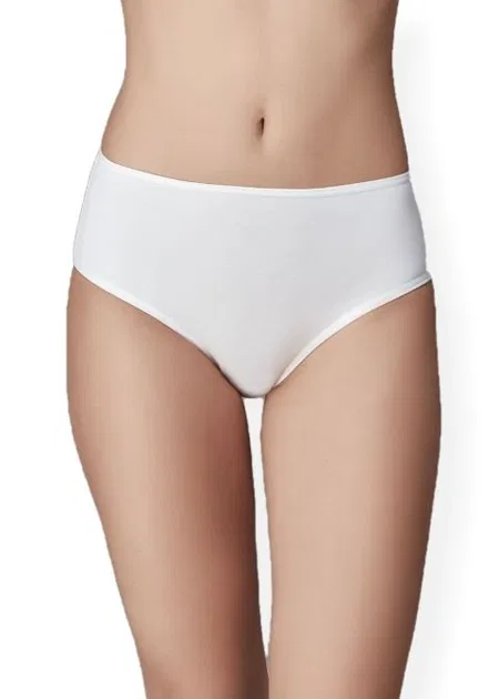 Yüksek Bel Pamuklu Slip Külot Dagi 5104