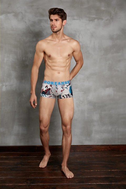 Modal Pamuklu Esnek Bel Lastikli Boxer Doreanse 1701 - ZEUGMA