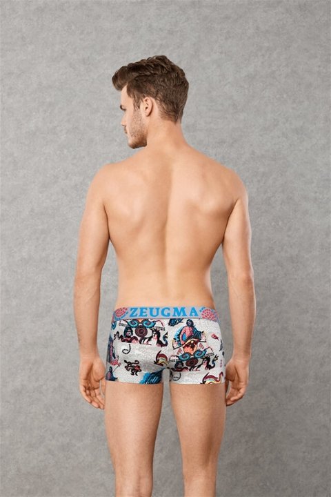 Modal Pamuklu Esnek Bel Lastikli Boxer Doreanse 1701 - 2