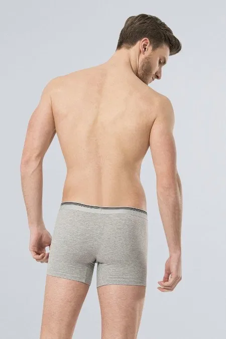Pamuklu Esnek Bel Boxer (2'li Paket) Türen 126 - Gri