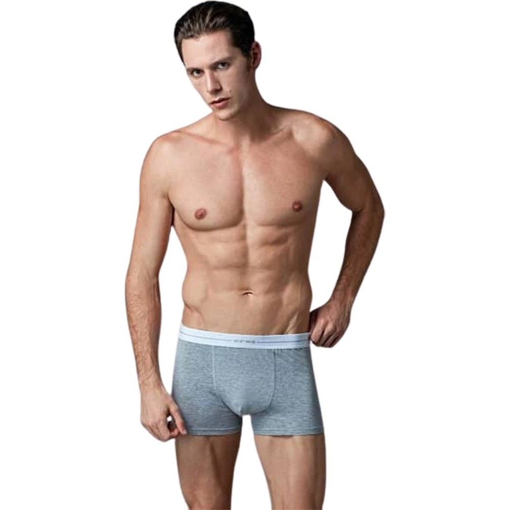Eros Pamuklu Esnek Bel Boxer 3'lü Paket Eros 015 - Görsel 2
