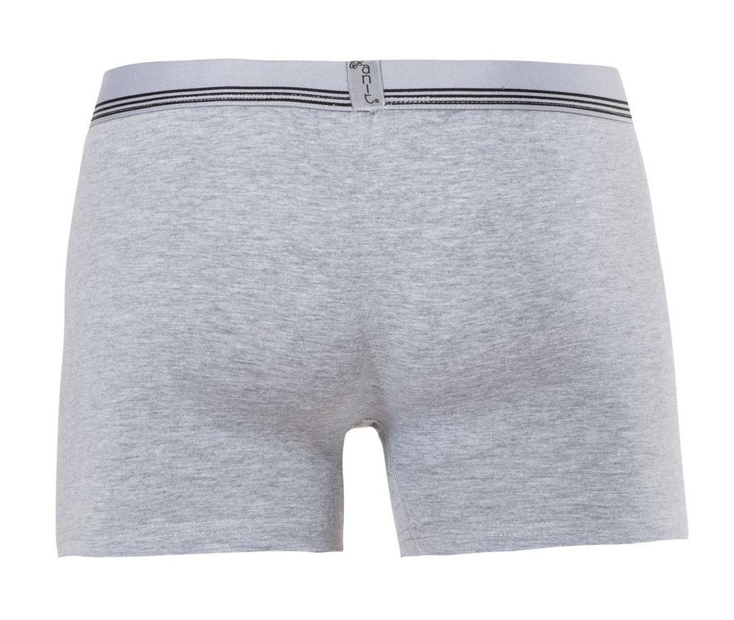 Çizgili Pamuklu Licralı Erkek Boxer Anıt 1252 - Antrasit