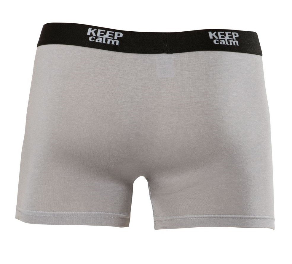 Modal Düz Dikişli Boxer Anıt 1266 - Gri