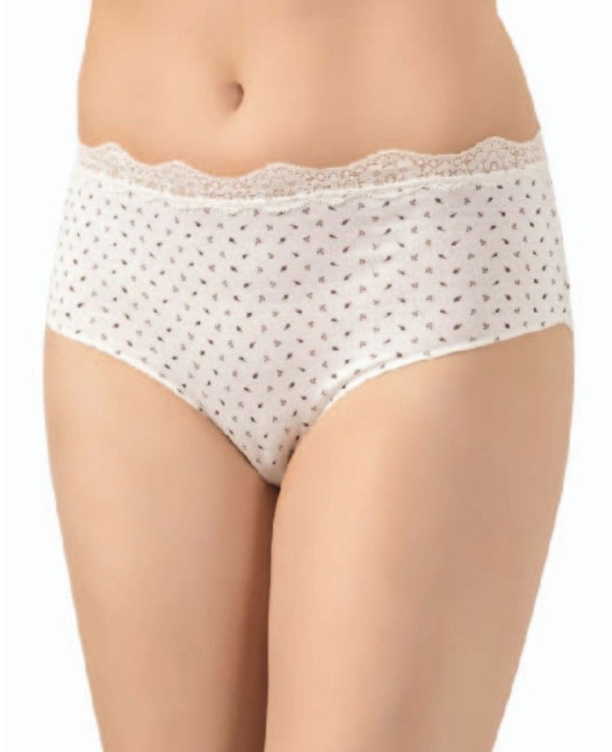 Modal Dantelli Yüksek Bel Külot  Öztaş 2812 - Asorti