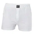 Anıt Erkek Boxer 1146
