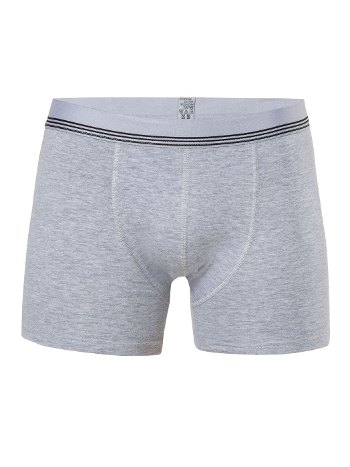 Çizgili Pamuklu Licralı Erkek Boxer Anıt 1252