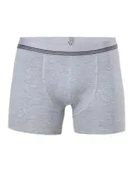 Çizgili Pamuklu Licralı Erkek Boxer Anıt 1252