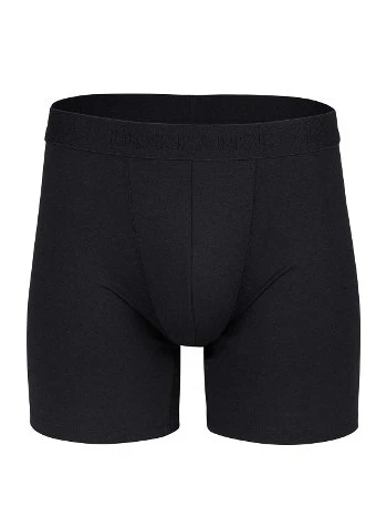 Fırçalı İç Yüzey Normal Paça Termal Boxer Doreanse 1905