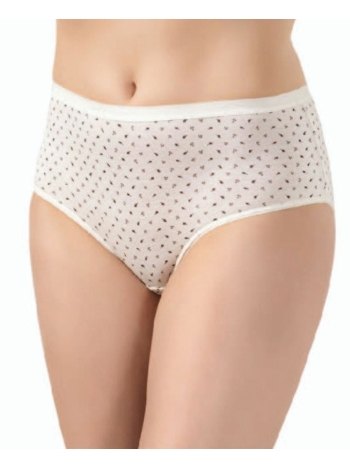 Yüksek Bel Esnek Modal Külot 4'lü Paket Öztaş 2810