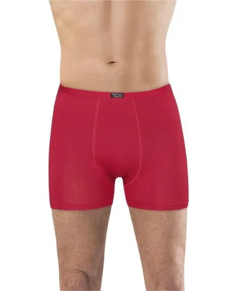 Pamuklu Esnek Bel Boxer Anıt 1273 - Bordo