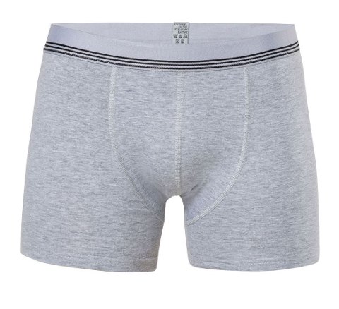 Çizgili Pamuklu Licralı Erkek Boxer Anıt 1252