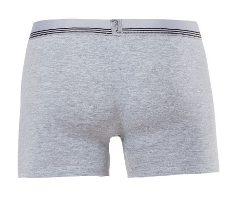 Çizgili Pamuklu Licralı Erkek Boxer Anıt 1252 - 2