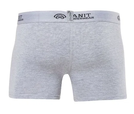 Pamuklu Elastan Esnek Bel Boxer Anıt 1120 - Gri
