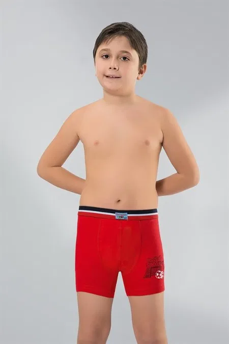 Namaldı Yumuşak Pamuklu Esnek Boxer Namaldı 321 - Görsel 5