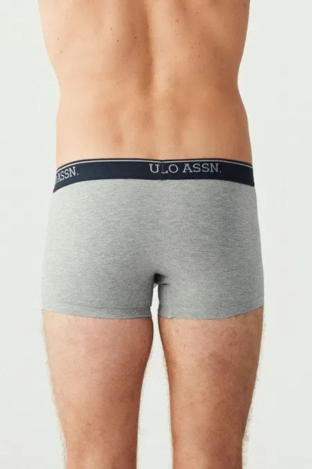 Bel Lastiği Baskılı Pamuklu Kısa Paça Boxer U.S. Polo Assn. 80263 - Görsel