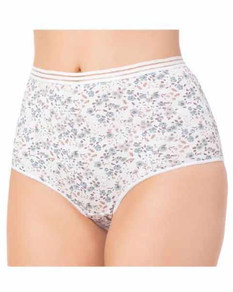 Yüksek Bel Düz Renkli Külot  Öztaş 21002