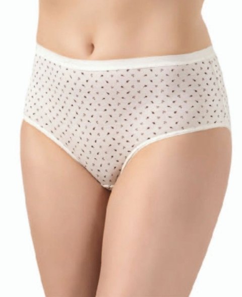 Yüksek Bel Esnek Modal Külot 4'lü Paket Öztaş 2810 - Asorti