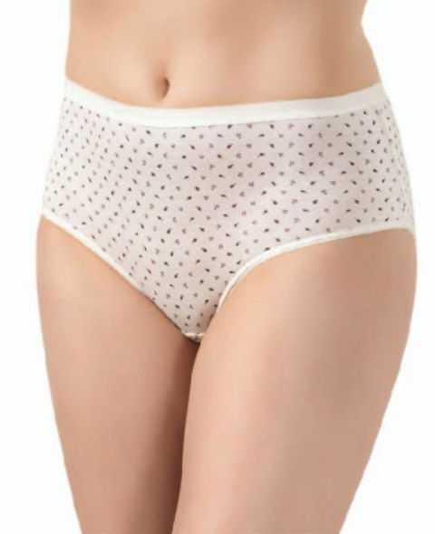 Yüksek Bel Esnek Modal Külot 4'lü Paket Öztaş 2810