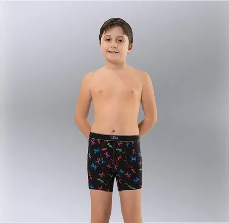 Namaldı Pamuklu Desenli Boxer Erkek Çocuk Namaldı 320