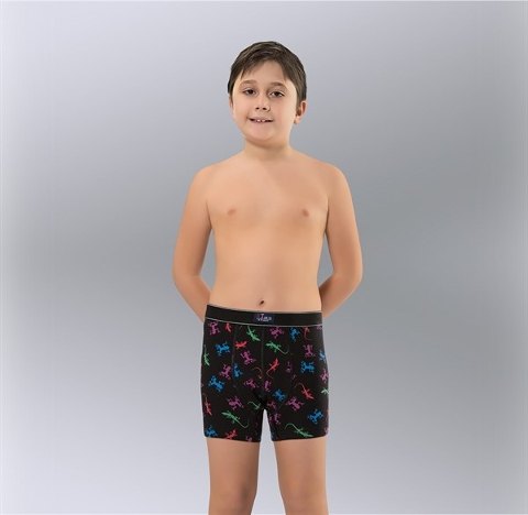 Namaldı Pamuklu Desenli Boxer Erkek Çocuk Namaldı 320