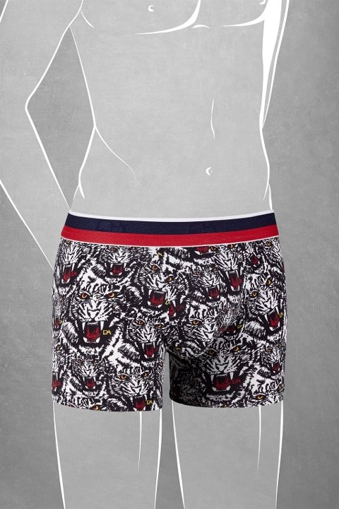 Modal Kaplan Baskılı Normal Paça Boxer Doreanse 610