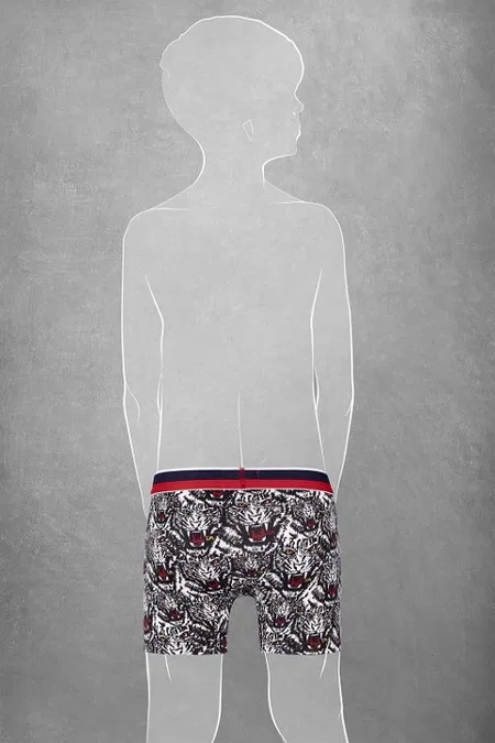Modal Kaplan Baskılı Normal Paça Boxer Doreanse 610 - Kaplan