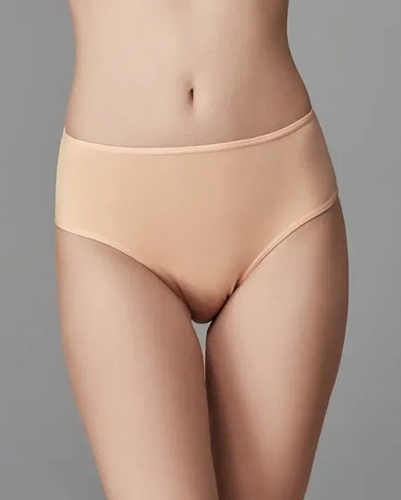 Renkli Yüksek Bel Slip 5li Paket Külot Eros 760 - Karışık