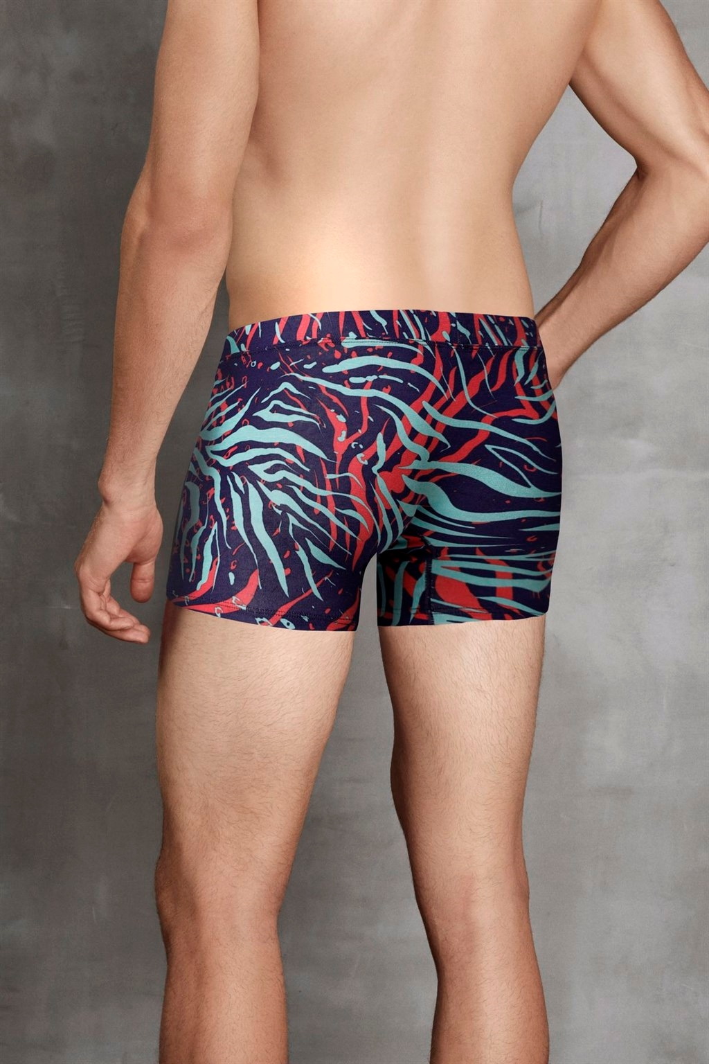 Modal Pamuk Elastan Zebra Baskılı Erkek Boxer Doreanse 1872 - Leozebra