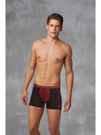 Pamuklu Modal Esnek Bel Boxer Doreanse 1752