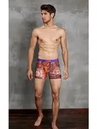 Modal Çok Renkli Baskılı Boxer Doreanse 1824
