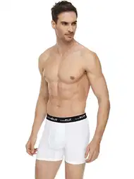 Modal Likralı Esnek Bel Boxer Tutku Elit 1252
