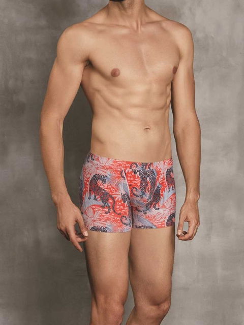 Modal Pamuklu Erkek Boxer Doreanse 1709