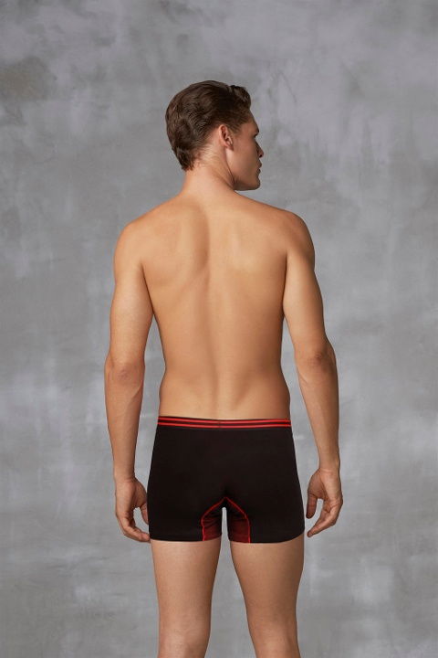 Pamuklu Modal Esnek Bel Boxer Doreanse 1752 - 2