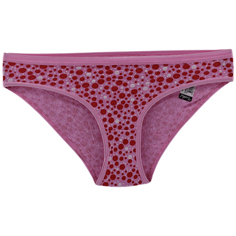 Yüksek Pamuk Oranı Dikişsiz Bikini Külot Tutku 0520 - Asorti