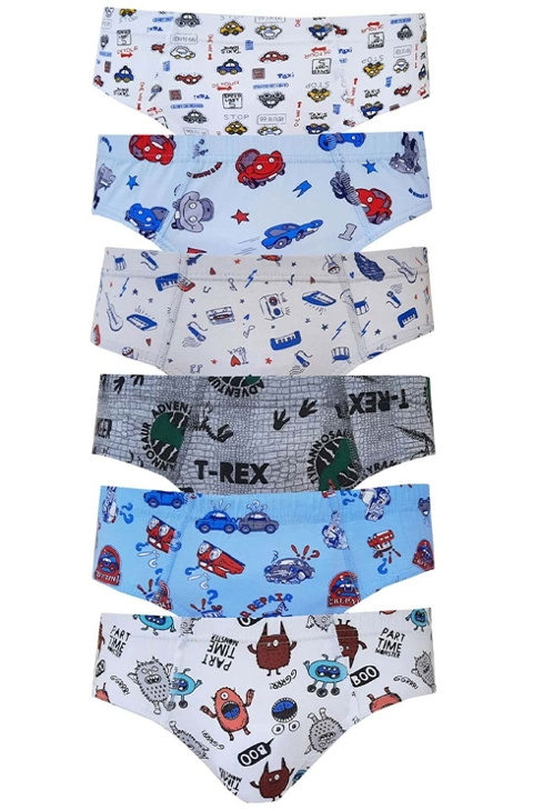 Pamuklu Asorti Erkek Çocuk Slip Külot Tutku 0255