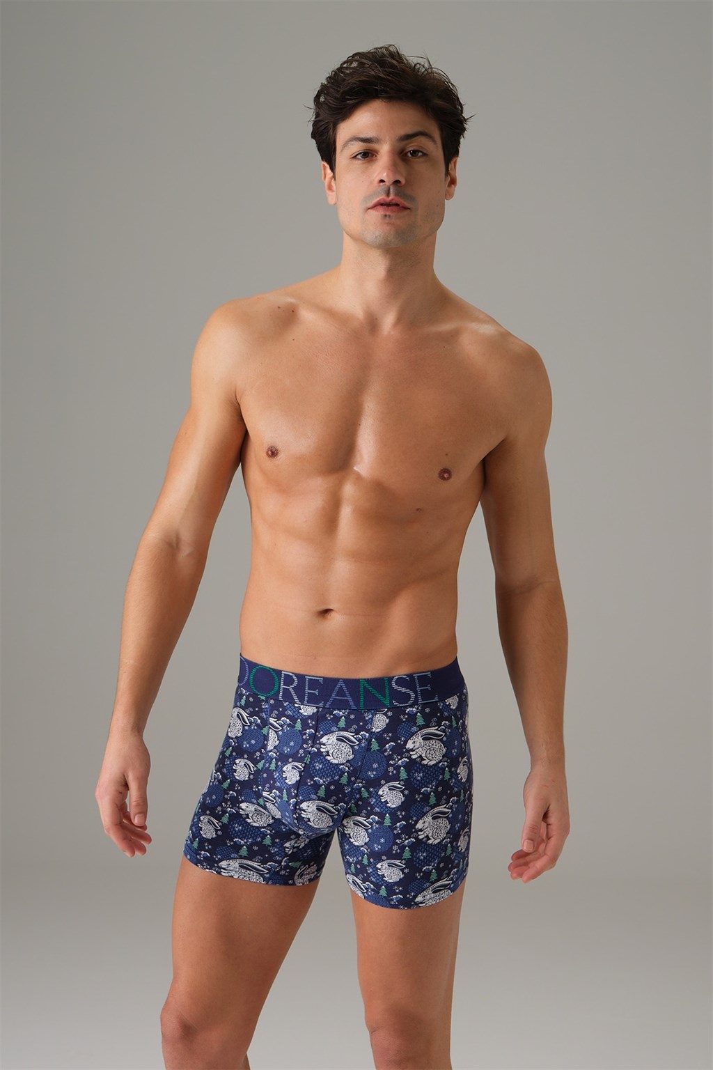 Tavşan Baskılı Modal Pamuk Erkek Boxer Doreanse 1732 - Tavşan