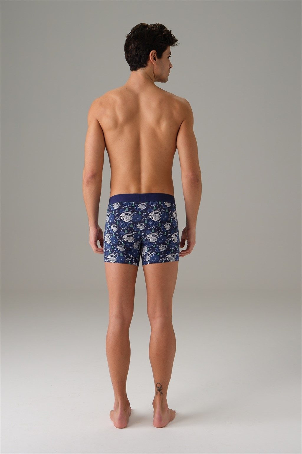Tavşan Baskılı Modal Pamuk Erkek Boxer Doreanse 1732 - Tavşan