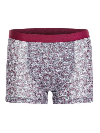 Modal Pamuklu Dikişli Uzun Paça Boxer İlke 1604
