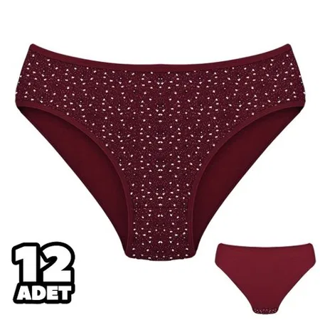 Çiçek Desenli Yüksek Bel Kadın Külot Dondeza 201135 - Bordo