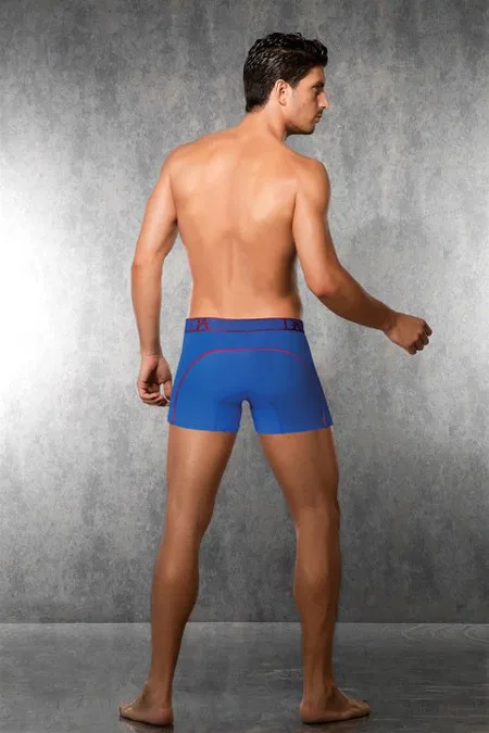 Fantezi Tül Detaylı Bel Bantlı Boxer Doreanse 1562 - Saks