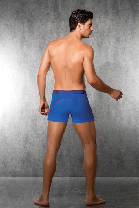 Fantezi Tül Detaylı Bel Bantlı Boxer Doreanse 1562 - Saks