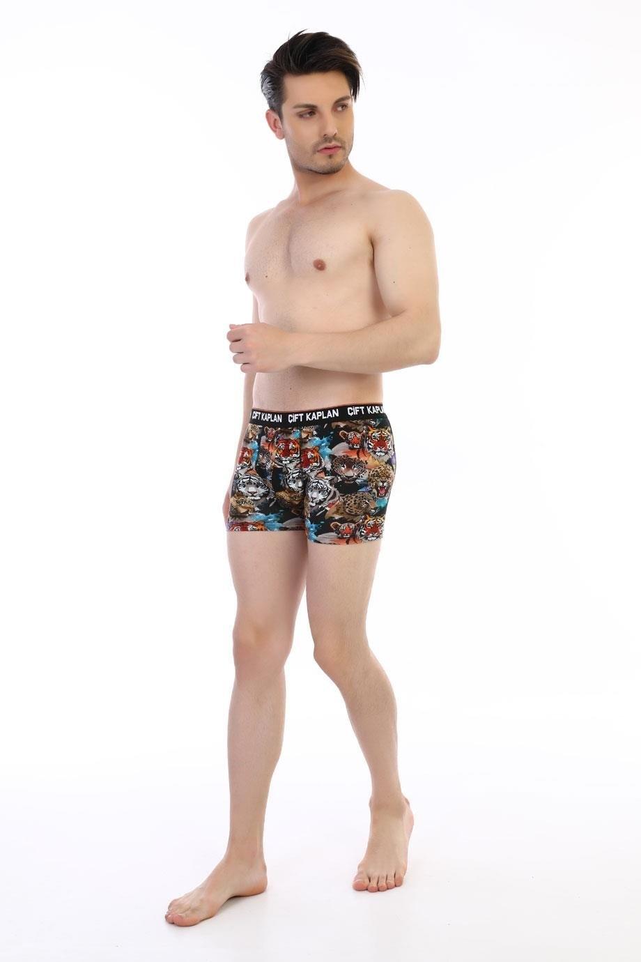 Dijital Baskılı Aslan Desenli Boxer Çift Kaplan 796 - Görsel