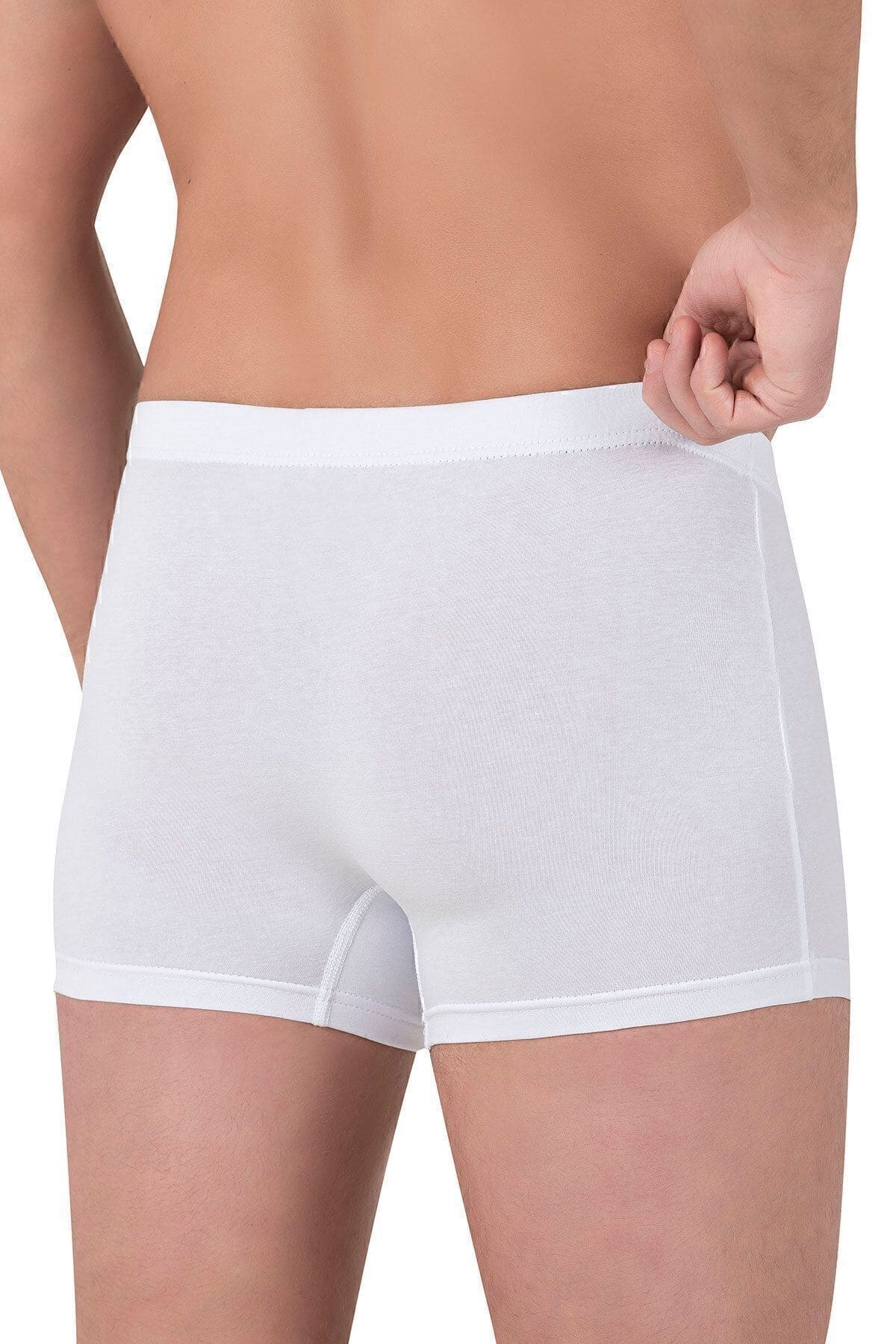 Pamuklu Likralı Esnek Boxer Şort Özkan 12024 - Beyaz