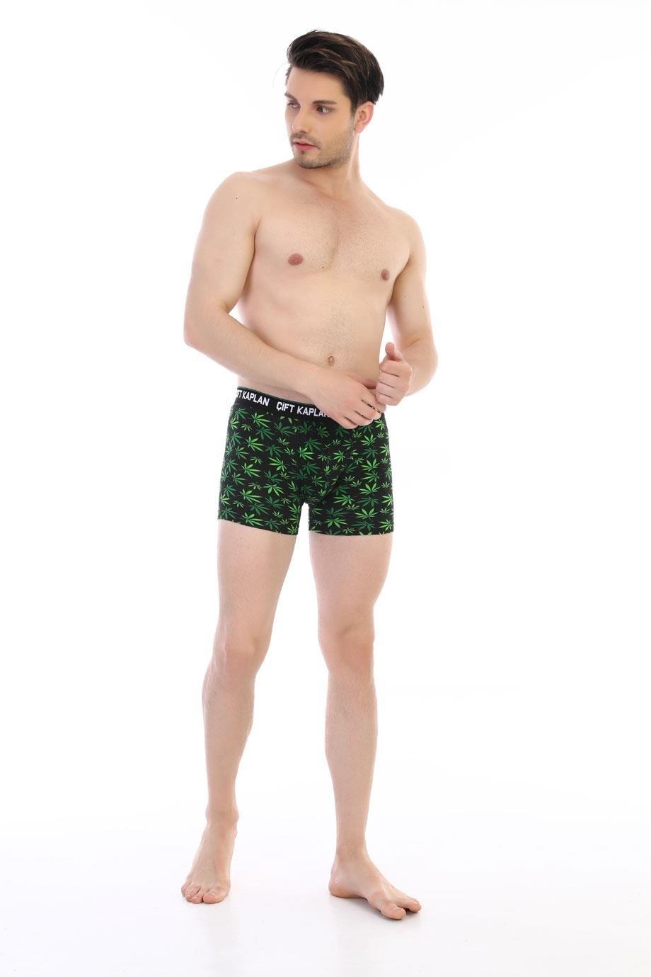 Pamuklu Elastan Yeşil Yaprak Desenli Boxer Çift Kaplan 796 - Görsel
