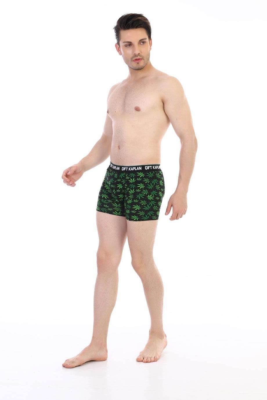 Pamuklu Elastan Yeşil Yaprak Desenli Boxer Çift Kaplan 796 - Görsel