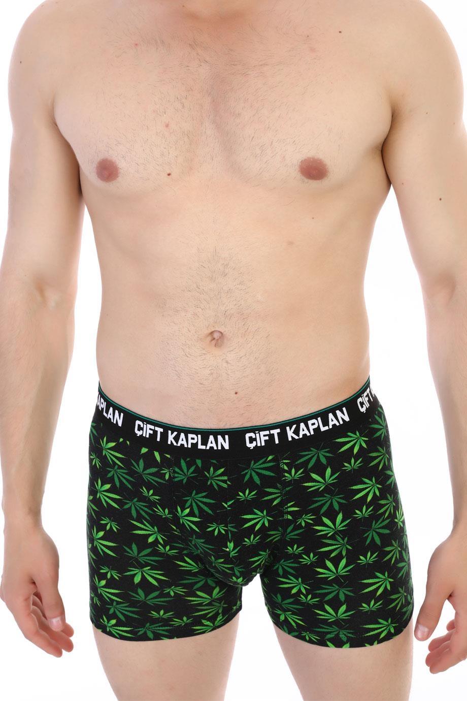 Pamuklu Elastan Yeşil Yaprak Desenli Boxer Çift Kaplan 796 - Görsel